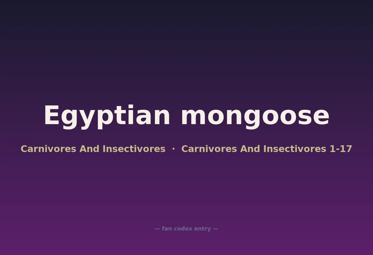 Egyptian mongoose