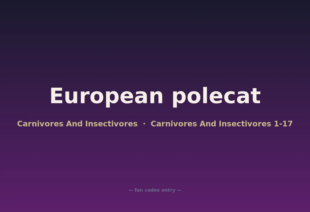 European polecat